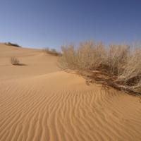 09c2d306 8ac6 4f95 98e2 08d3047b4532