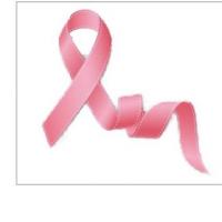 2aac4fe5 5e30 4996 8517 78b2f123dc8f