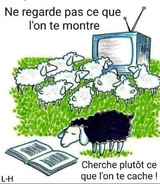 54cd26d4 c66f 4dba b77b db95b5fc4089