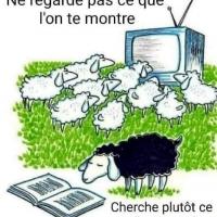 54cd26d4 c66f 4dba b77b db95b5fc4089