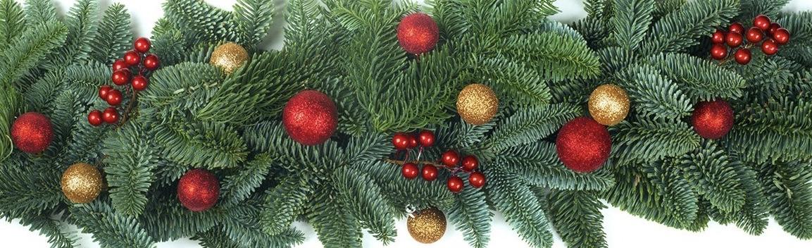 5b553356 2685 4fe4 88ca 9b500bc9a13d