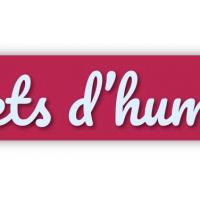 833ffbb0 c690 4c5e 871f 055fd9587cd9