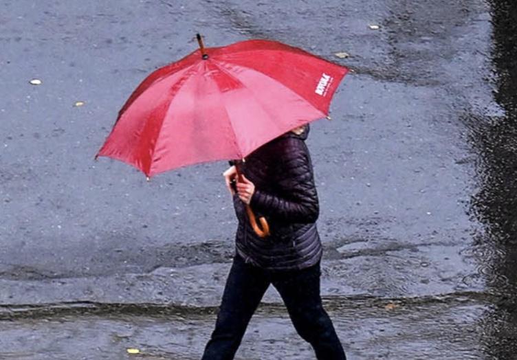 8821363d 20c8 4ef7 8d19 96892b11bfb4