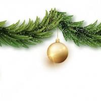 8c32c6ff 49ff 4fd9 bbf9 e2e1bd9b2a53