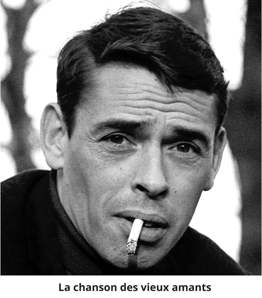 D6d4c2a9 6979 4049 a2db 036a920d64b6